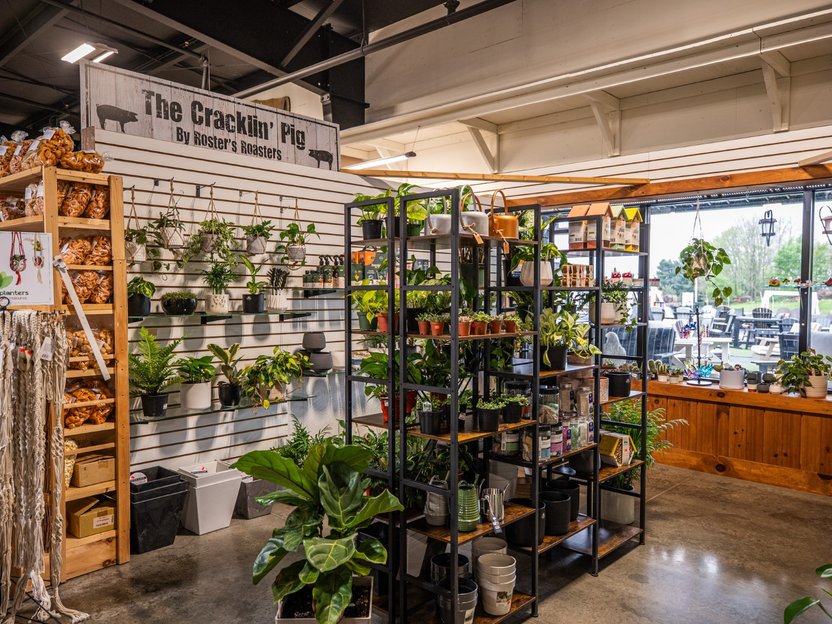 Indoor plants at Ohio's Market Berlin